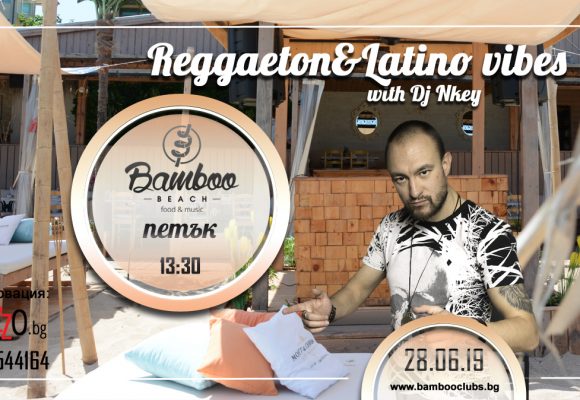 bamboo28-061330 копия